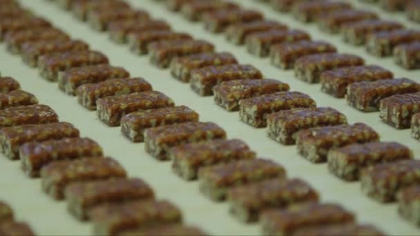 巧克力工厂输送线上分散的糖果填充物的静态特写 — 图库视频影像