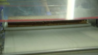 bir gıda fabrikasındaki peynirli kek kesme makinesinin statik görüntüsü.