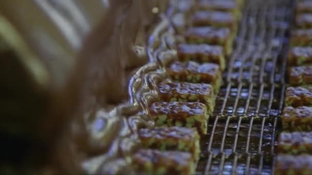 Statyczne Makro Ujęcie Polewania Cukierków Czekoladą Fabryce Czekolady Linii Przenośnika — Wideo stockowe