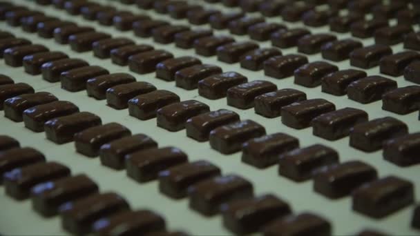 Statisches Medium Schuss Frischer Bonbons Nur Dunkler Schokolade Auf Dem — Stockvideo
