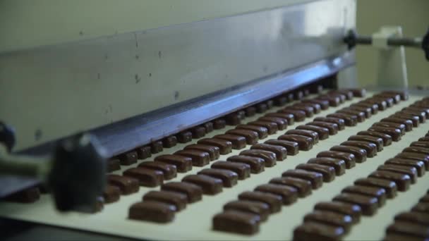 Static Medium Shot Fresh Chocolates Conveyor Belt Dryer Chocolate Factory — Stock Video