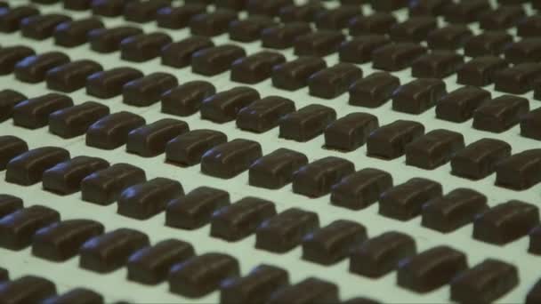 Статический Средний Кадр Свежеприготовленного Шоколада Конвейерной Линии Шоколадной Фабрике — стоковое видео