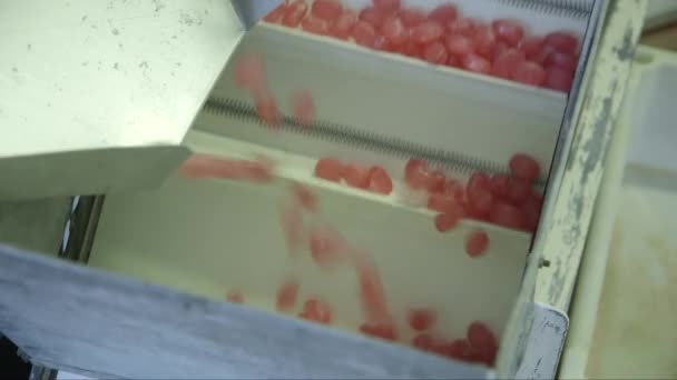공장에 컨베이어 벨트에 떨어지는 캐러멜 캔디의 — 비디오