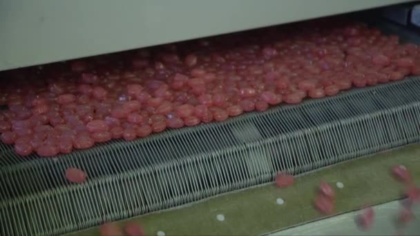 Static Close Shot Finished Caramel Candies Falling Conveyor Belt Candy — Stock Video