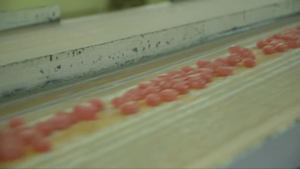 キャンディ工場の印象的なコンベアベルトにロリポップの静止クローズアップショット — ストック動画