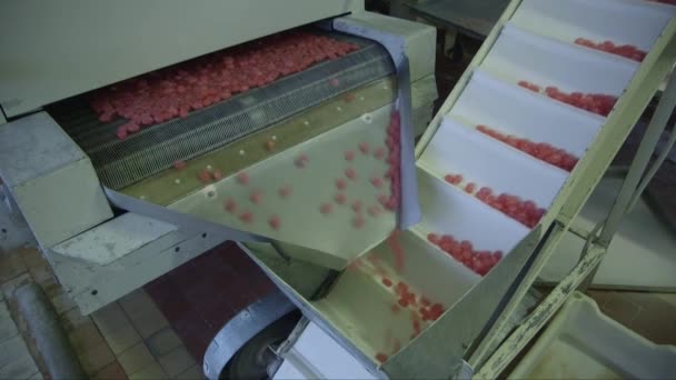 공장의 컨베이어 벨트에 떨어지는 캐러멜 캔디의 정적인 — 비디오