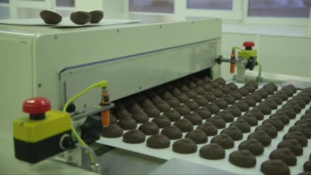 Στατικό Μέσο Πλάνο Των Τελικών Marshmallows Σοκολάτα Έξοδο Από Στεγνωτήριο — Αρχείο Βίντεο