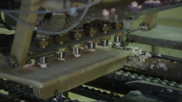 Statische Nahaufnahme Der Herstellung Von Rosa Marshmallows Auf Holzbrettern Fließband — Stockvideo