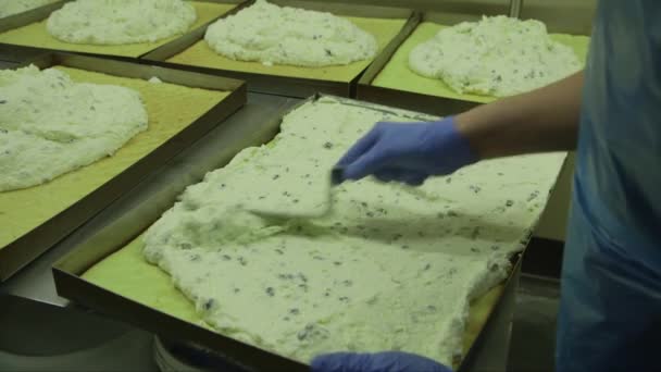 制作奶酪松饼的静态特写镜头 将带有葡萄干的奶酪放在一个大锅中 — 图库视频影像
