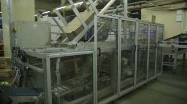 Gıda fabrikasında karton paketleme robotu.