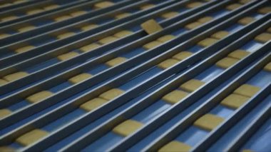 Gıda fabrikasındaki taşıma bandında bölünmüş çizgiler boyunca kayan bir sürü kare kurabiyenin statik yakın plan çekimi.