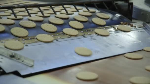 쿠키가 뜨거운 벨트에서 컨베이어 벨트로 미끄러지는 — 비디오