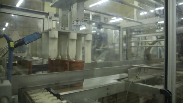 Στατική Κοντινή Φωτογραφία Του Ρομπότ Συσκευασίας Χαρτοκιβωτίων Ένα Εργοστάσιο Τροφίμων — Αρχείο Βίντεο