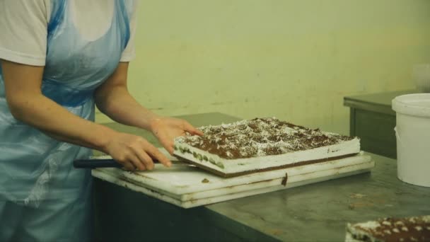 Pasta Şefinin Tiramisu Parçalarını Büyük Tepsiden Taşırkenki Statik Görüntüsü — Stok video