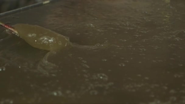 柔らかくて熱いキャラメル質量を攪拌ペストリーシェフのドリークローズアップショット — ストック動画
