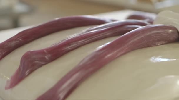Hand Held Close Shot Two Confectioners Putting Red Smaller Strips — Stock Video
