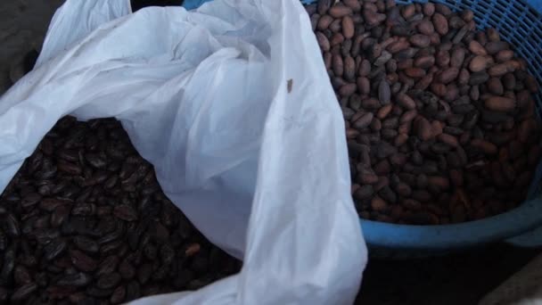 Toma Cerca Estática Las Manos Arrugadas Anciana Poniendo Granos Cacao — Vídeo de stock