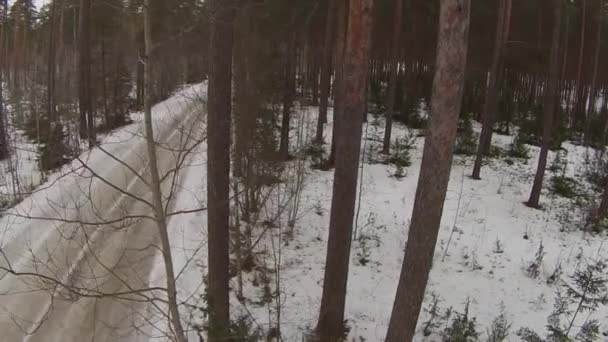 Drönare Bred Bild Stor Vit Lastbil Som Kör Skogsväg Vintern — Stockvideo