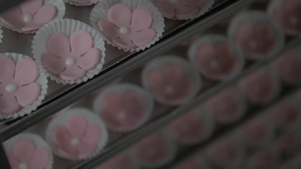 Yavaş Çekimde Şeker Fabrikasında Alüminyum Tepsilerin Üzerine Yerleştirilmiş Bir Sürü — Stok video