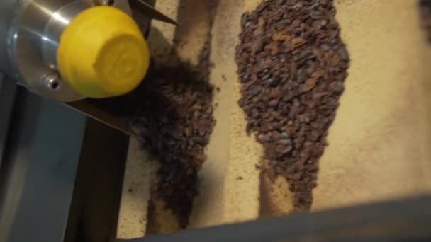 Dolly Zbliżenie Strzał Zgnieciony Ziarna Kakao Slajdów Wzdłuż Przenośnika Taśmowego — Wideo stockowe