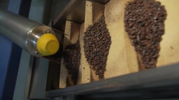 Dolly Close Shot Van Geplette Cacaobonen Schuif Langs Een Transportband — Stockvideo