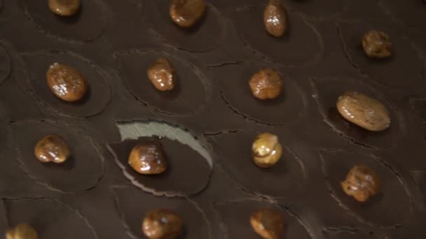 Dolly Cámara Lenta Cerca Plano Avellanas Glaseadas Hojas Pastelería Chocolate — Vídeo de stock