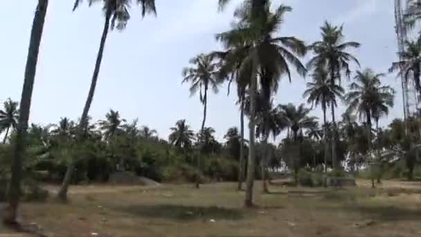 Handen Höll Bred Bild Landskapet Afrikansk Djungel Och Palm Gårdar — Stockvideo