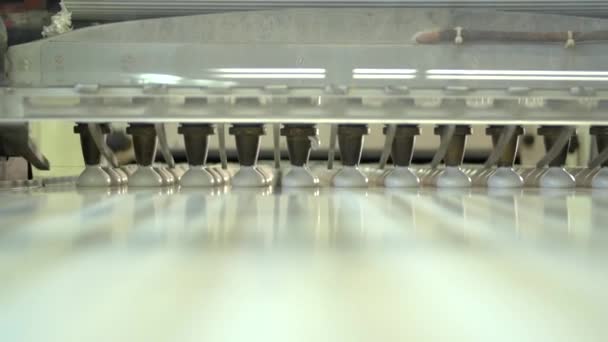 キャンディ工場のマシュマロを絞った中速の動き — ストック動画