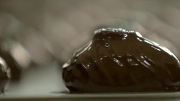 Statické Zpomalení Makro Záběr Čerstvé Marshmallows Čokoládě Pásovém Dopravníku Cukrovaru — Stock video