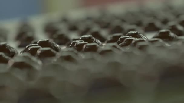 Statische Holländische Winkel Zeitlupe Medium Schuss Von Frischen Marshmallows Schokolade — Stockvideo
