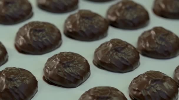 Statické Zpomalení Záběr Zblízka Čerstvé Marshmallows Čokoládě Pásovém Dopravníku Cukrovaru — Stock video