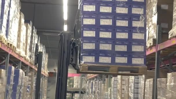 倉庫の棚の間で働くリーチトラックの中での撮影の後 — ストック動画