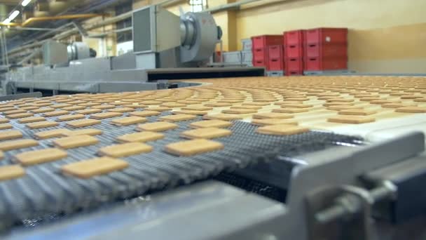 コンベヤベルト上の正方形のクッキーの多くのドリースローモーション中ショット — ストック動画