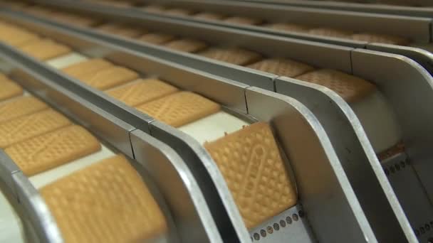 Ralenti Statique Plan Rapproché Beaucoup Biscuits Carrés Étant Laissé Tomber — Video