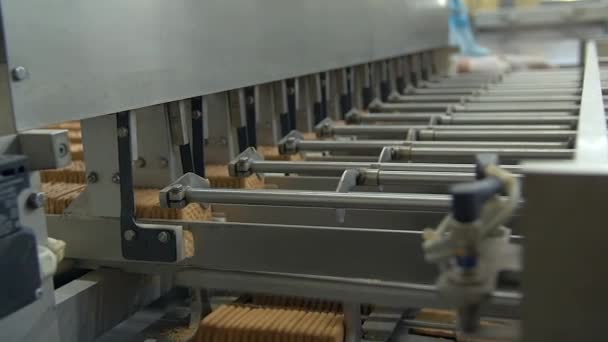 キャンディー工場のコンベアラインでクッキーを分離するセパレーターのショットをゆっくりと動かす — ストック動画
