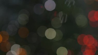 Ormanda, Bokeh 'te, odak dışı bir şekilde bir dizi noel ışıklarının orta ölçekli görüntüsü çekiliyor.