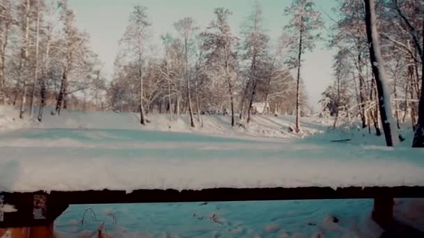 Steadicam Średnie Ujęcie Człowieka Kroczącego Zdecydowanie Przez Pokryty Śniegiem Most — Wideo stockowe