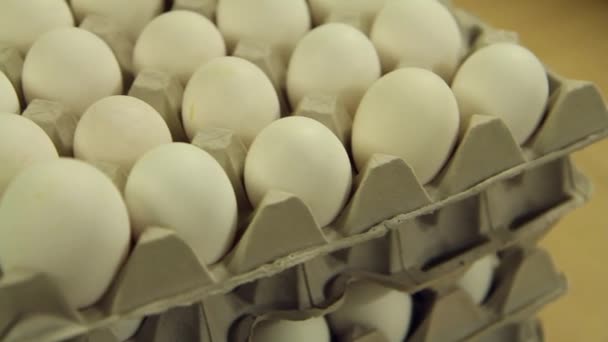 Close Shot Lot White Eggs Paper Trays Stacked Tower One — Stock Video