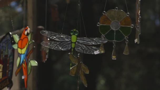 Dolly Yakın Plan Cam Dekor Çam Ormanı Yusufçuk Papağan Süs — Stok video