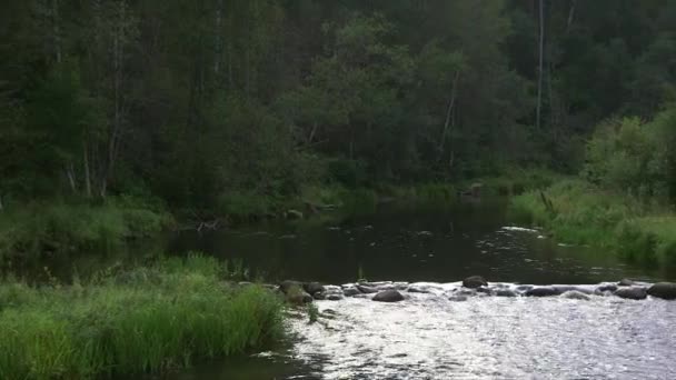 Panoramiczne Szerokie Ujęcie Krajobrazu Rzeki Lasu Kamieni Nim Małych Rzek — Wideo stockowe