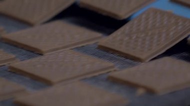 konveyör hattında pişirmeden önce yumuşak kahverengi hamur kare kurabiyelerin statik yavaş çekim yakın çekim