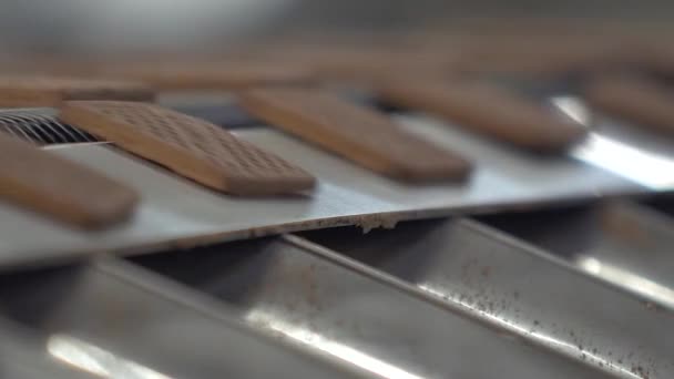 Statische Zeitlupe Nahaufnahme Von Quadratischen Braunen Schokoladenkeksen Die Von Einer — Stockvideo
