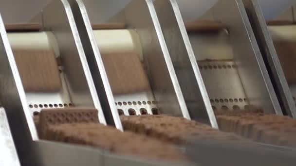 静的な遅い動きは正方形のショットを閉めます 包装のためのコンベヤー ラインで積み重ねられている茶色のクッキー — ストック動画