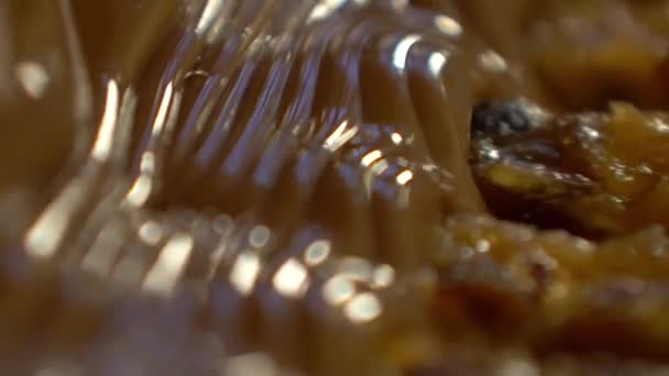 Statický Zpomalený Makrosnímek Plnící Hmoty Karamelem Ořechy Pokryté Tekutou Čokoládou — Stock video