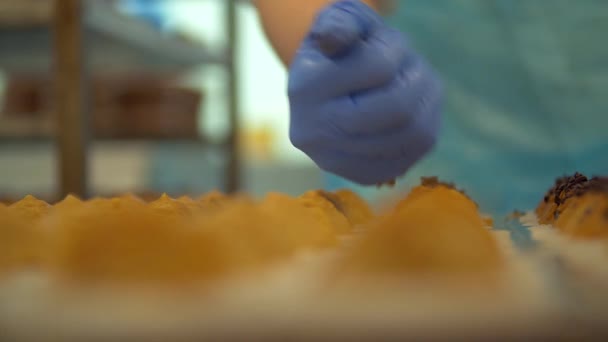 Estática Cámara Lenta Macro Enfoque Movimiento Disparo Pastelería Chef Espolvorear — Vídeo de stock