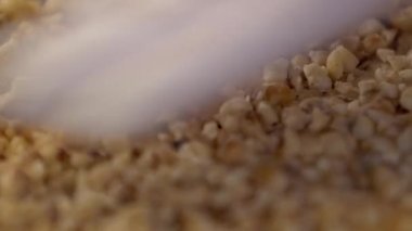 Beyaz eldivenli ellerin durağan, makro çekim gücü waffle tabağına doğranmış fındık yayıyor.