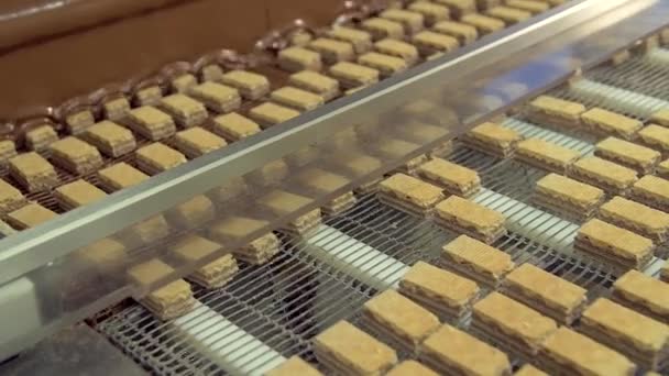 Dolu Gofret Şekerlemelerinin Ağır Çekimde Çekilmesi Sıvı Çikolata Tabakasıyla Kaplı — Stok video