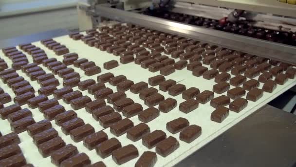Taşıyıcı Hat Üzerinde Sıvı Çikolata Şekerlemeleriyle Kaplanmış Ağır Çekim Orta — Stok video