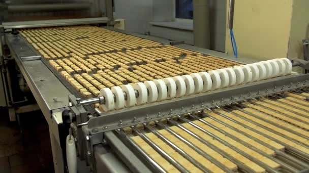 Dolly Slow Motion Wide Shot Lot Wafer Candies Conveyor Line — Stok Video