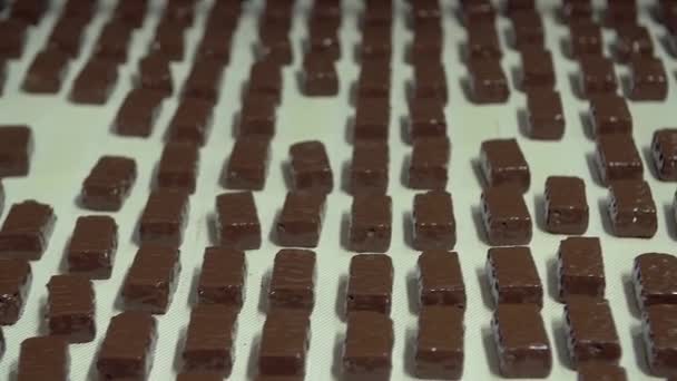 Dolly Cámara Lenta Cerca Plano Recién Recubierto Con Caramelos Chocolate — Vídeos de Stock